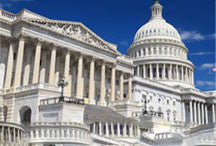 Minor League Baseball